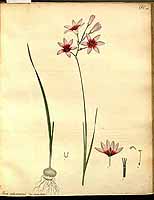  no thumbnail available