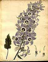  no thumbnail available