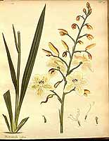  no thumbnail available