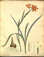  no thumbnail available