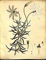  no thumbnail available