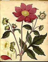  no thumbnail available