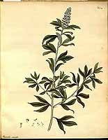  no thumbnail available