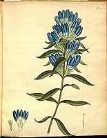  no thumbnail available