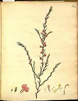  no thumbnail available