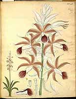  no thumbnail available