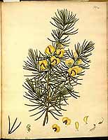  no thumbnail available