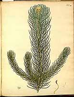  no thumbnail available