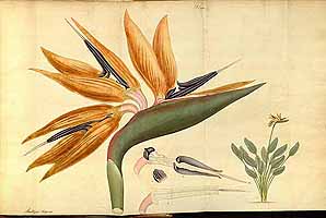  no thumbnail available