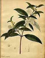  no thumbnail available