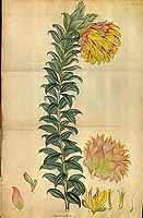  no thumbnail available