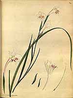  no thumbnail available