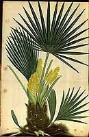  no thumbnail available