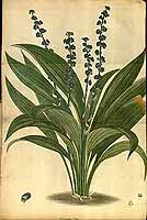  no thumbnail available