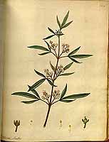  no thumbnail available