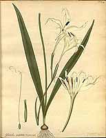  no thumbnail available