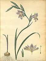  no thumbnail available