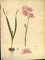  no thumbnail available