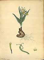  no thumbnail available