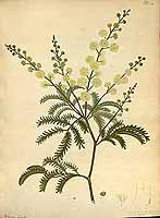  no thumbnail available