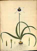  no thumbnail available