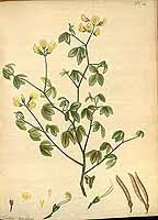  no thumbnail available