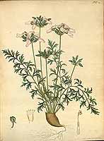  no thumbnail available