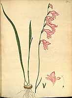  no thumbnail available