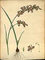  no thumbnail available