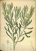  no thumbnail available