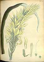  no thumbnail available