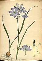  no thumbnail available