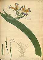  no thumbnail available