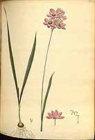  no thumbnail available