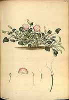  no thumbnail available