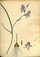  no thumbnail available