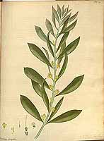  no thumbnail available