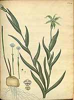  no thumbnail available