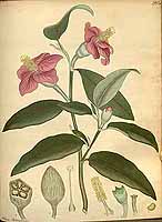  no thumbnail available