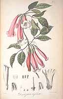  no thumbnail available