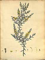  no thumbnail available