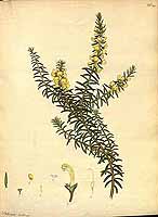  no thumbnail available