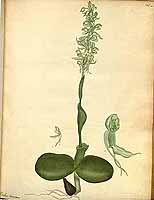  no thumbnail available