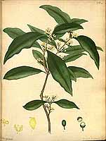  no thumbnail available