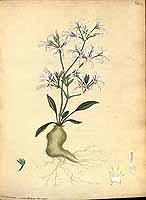  no thumbnail available