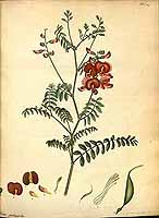  no thumbnail available