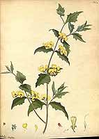  no thumbnail available