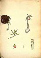  no thumbnail available