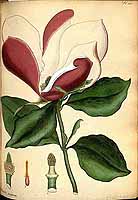  no thumbnail available