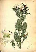  no thumbnail available